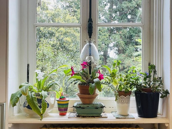 Image No.9-6 Bed House for sale