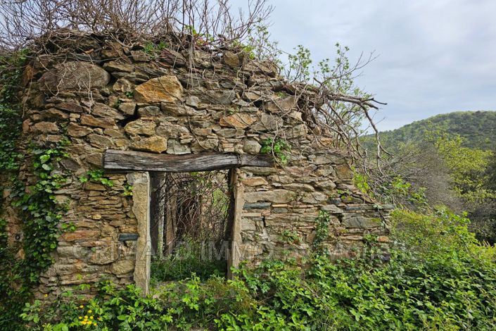 Image No.3-Maison de 3 chambres à vendre à La Garde-Freinet