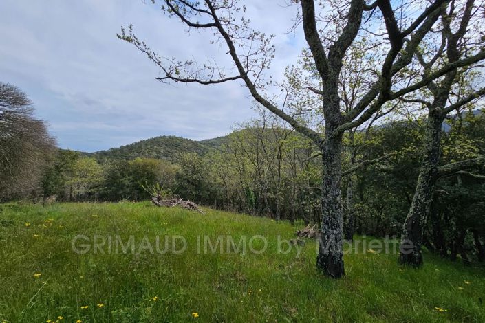 Image No.6-3 Bed House for sale