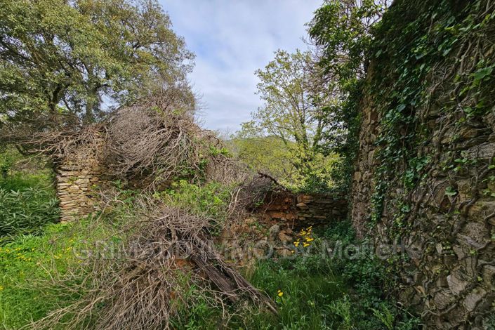 Image No.7-Maison de 3 chambres à vendre à La Garde-Freinet