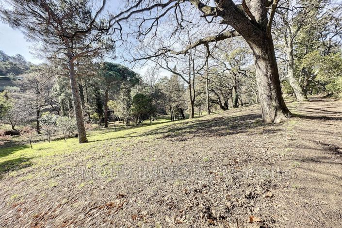 Image No.17-Maison de 1 chambre à vendre à La Garde-Freinet