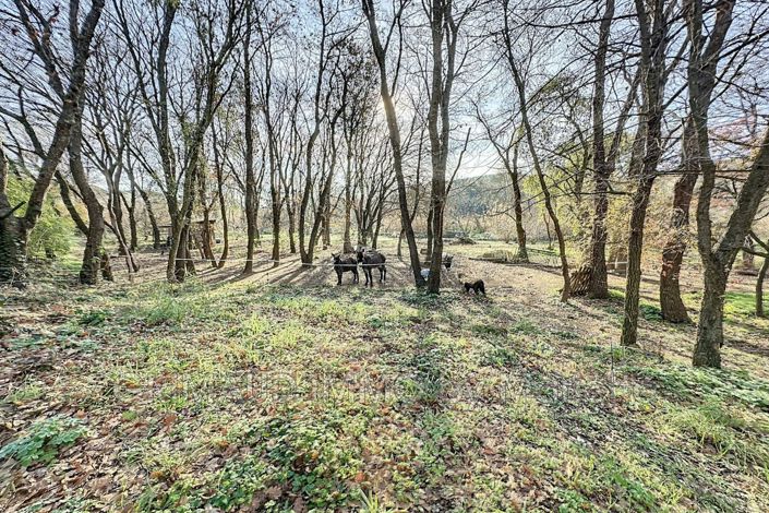 Image No.3-7 Bed House for sale