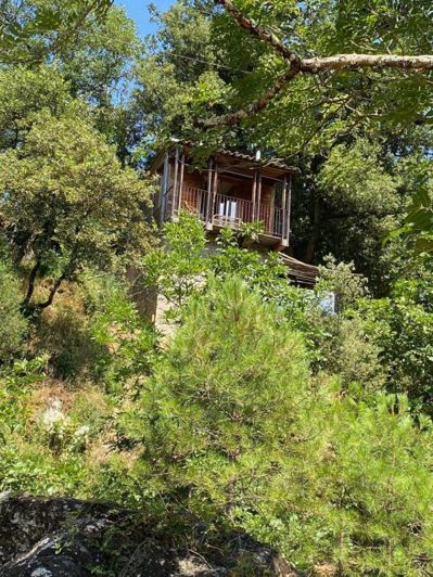 Image No.12-Maison de 12 chambres à vendre à Gagnières