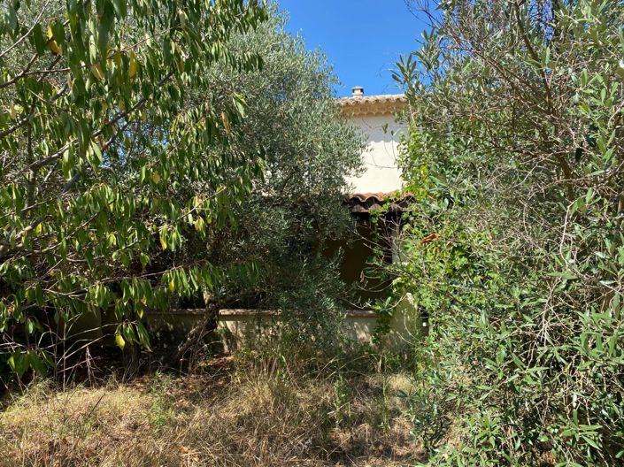 Image No.21-3 Bed House for sale