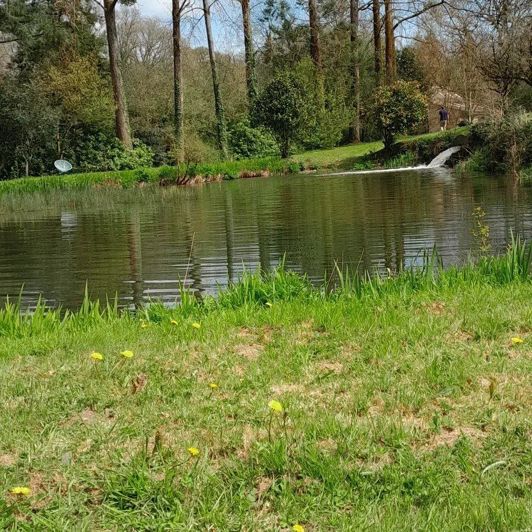 Image No.20-5 Bed House for sale