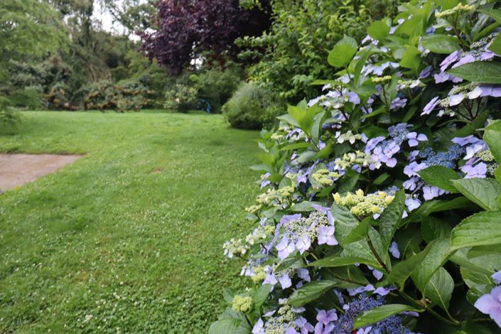 Image No.29-Maison de 4 chambres à vendre à Spézet