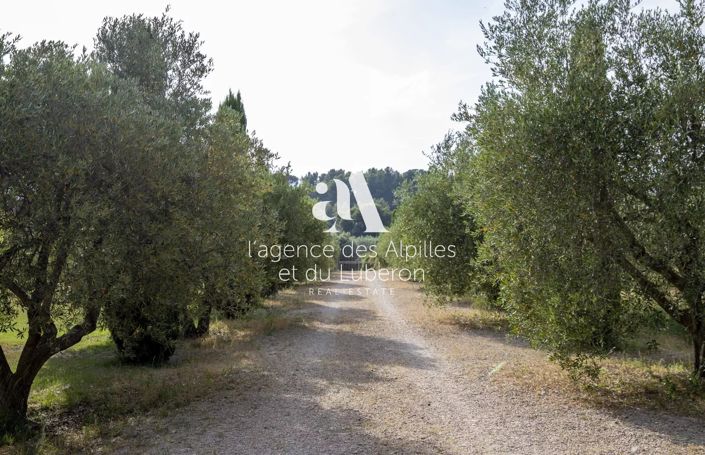 Image No.36-6 Bed House for sale