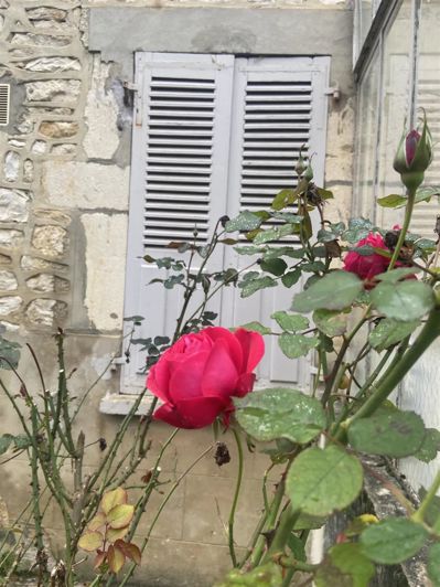 Image No.33-Maison de 4 chambres à vendre à Balnot-la-Grange