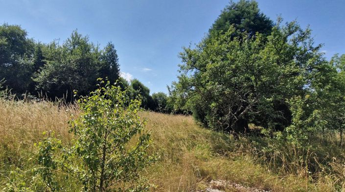 Image No.10-3 Bed House for sale