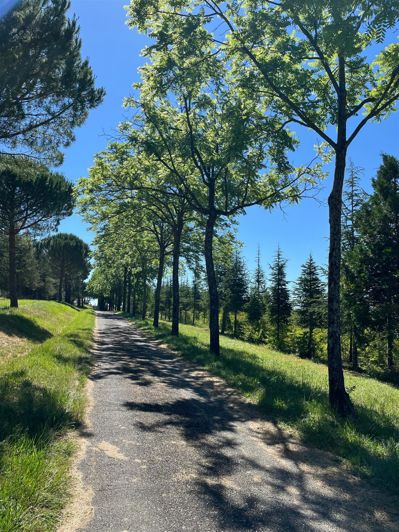 Image No.19-5 Bed House for sale