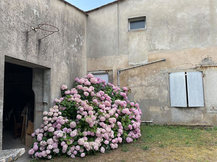 Image No.4-Maison de 4 chambres à vendre à Moulon