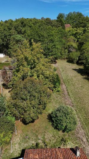 Image No.5-5 Bed House for sale