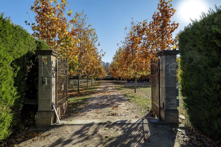 Image No.20-11 Bed House for sale