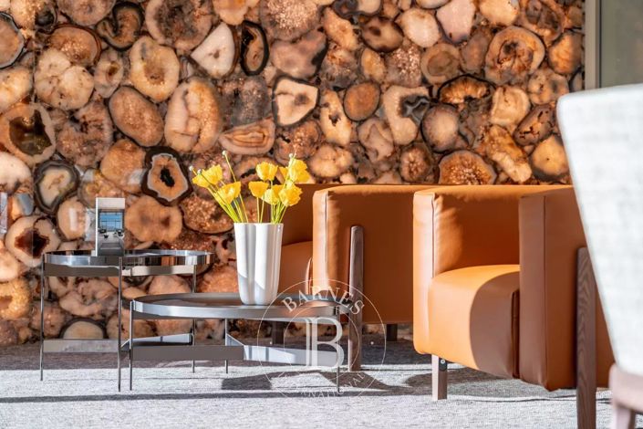 Image No.21-5 Bed House for sale