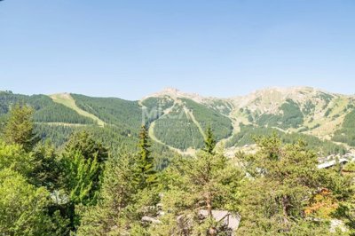 1 - Alpes-Maritimes, Apartment