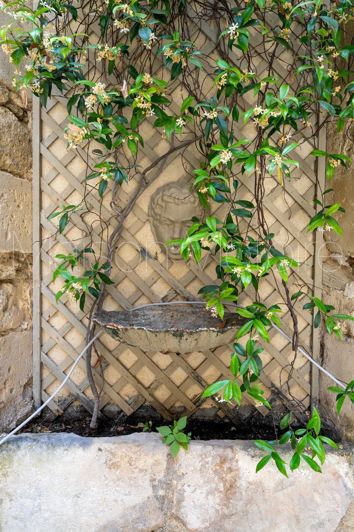 Image No.7-Maison de 3 chambres à vendre à Ménerbes