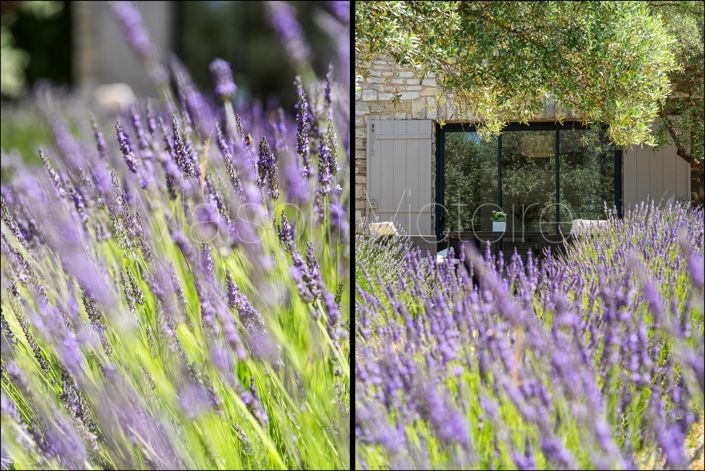 Image No.4-5 Bed House for sale