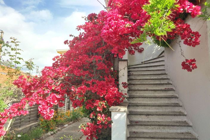 Image No.3-6 Bed House for sale