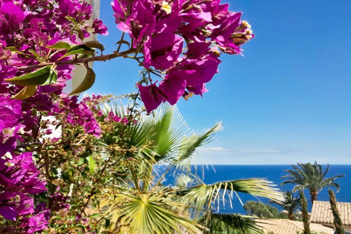 Image No.19-Maison de 3 chambres à vendre à Théoule-sur-Mer
