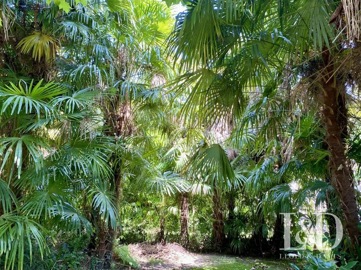 Image No.5-Maison de 10 chambres à vendre à Salies-de-Bearn
