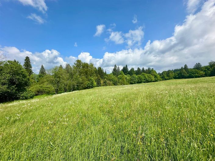 Image No.18-5 Bed House for sale