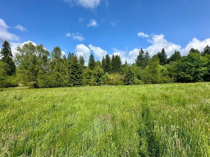 Image No.19-5 Bed House for sale