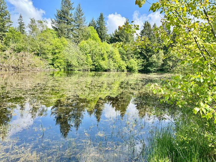 Image No.20-5 Bed House for sale