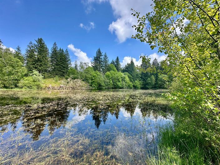 Image No.21-5 Bed House for sale