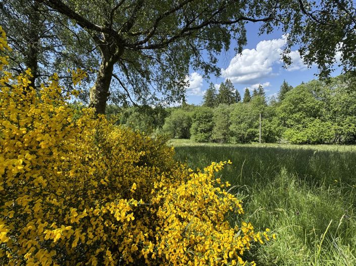 Image No.22-5 Bed House for sale