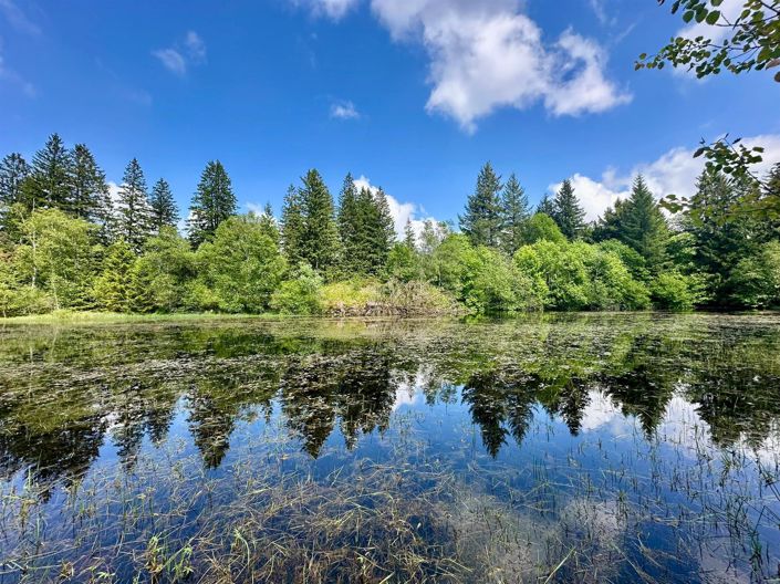 Image No.3-5 Bed House for sale