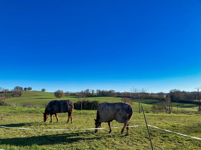 Image No.19-Maison de 4 chambres à vendre à Marciac