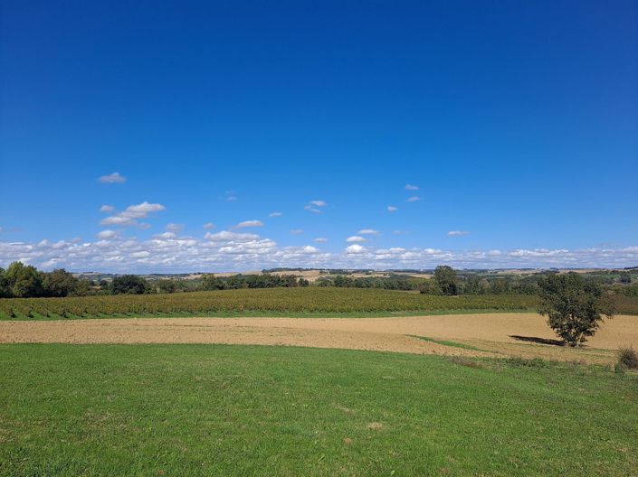Image No.21-Maison de 3 chambres à vendre à Castéra-Verduzan