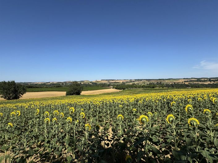 Image No.28-Maison de 3 chambres à vendre à Castéra-Verduzan