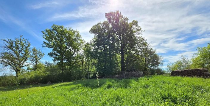 Image No.14-4 Bed House for sale