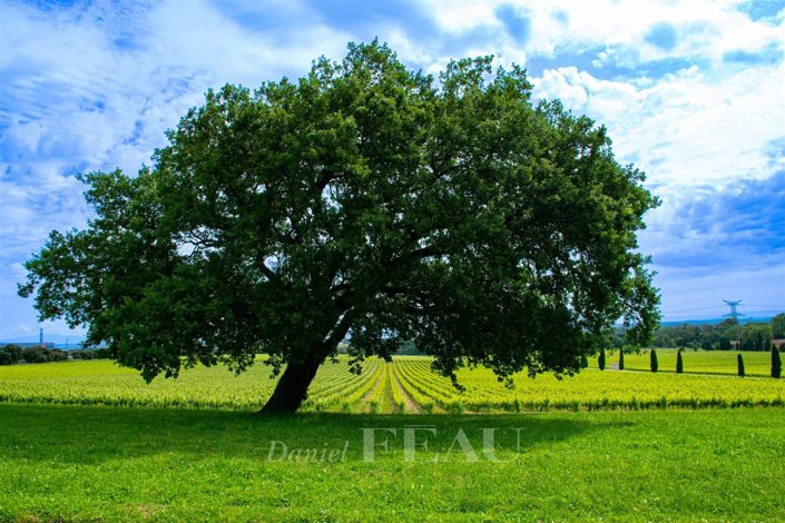 Image No.10-10 Bed House for sale