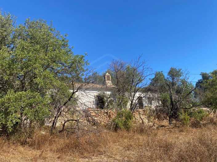 Image No.1-House for sale