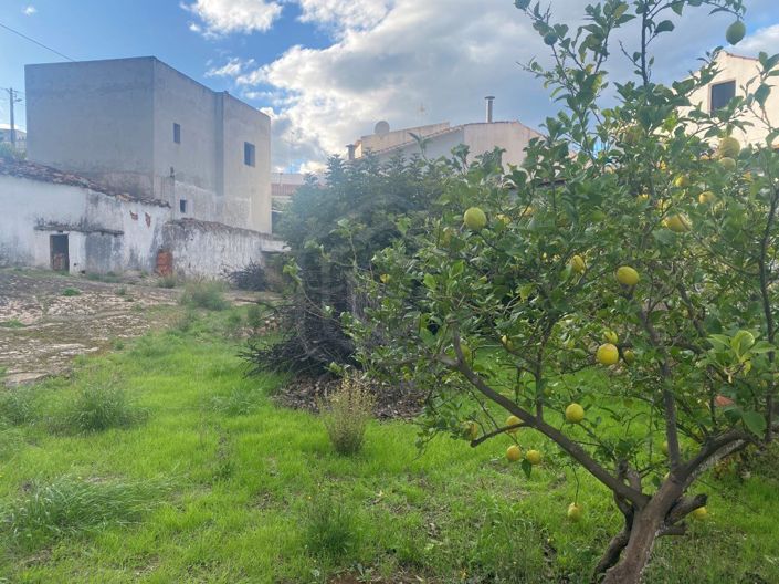 Image No.20-3 Bed House for sale