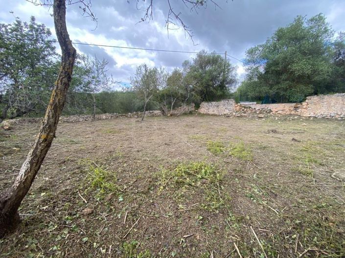 Image No.14-House for sale