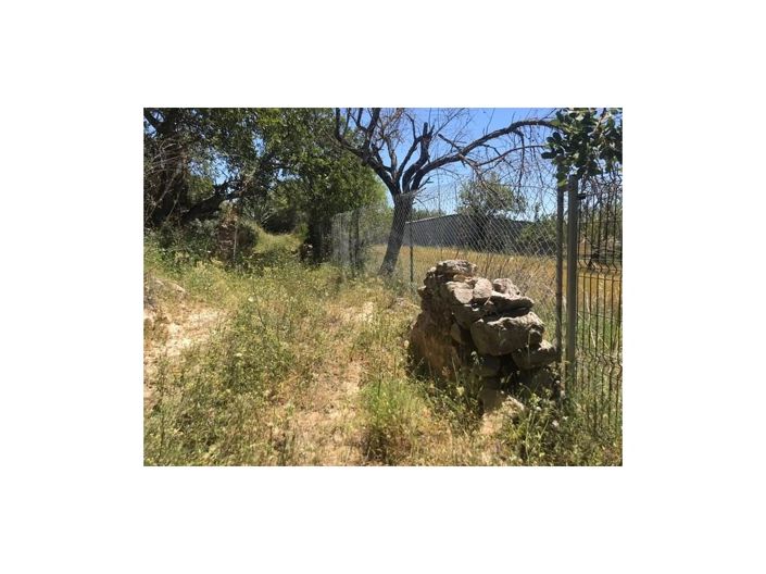 Image No.28-House for sale