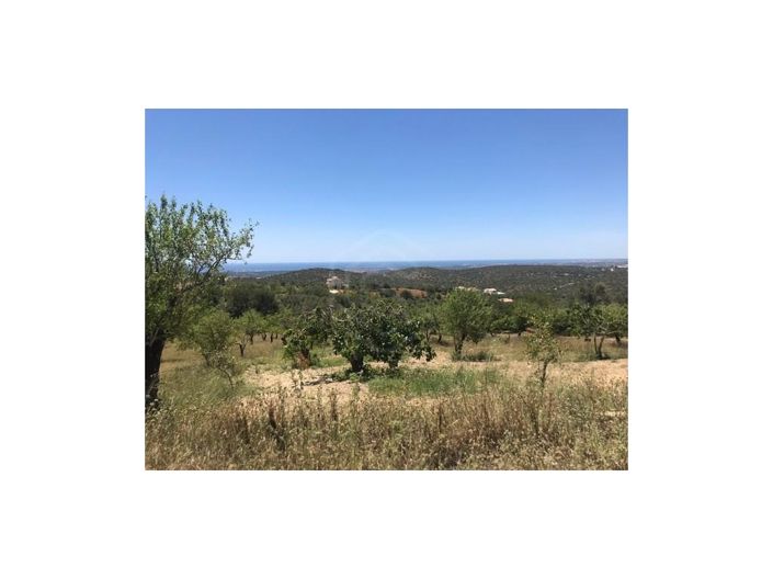 Image No.30-House for sale