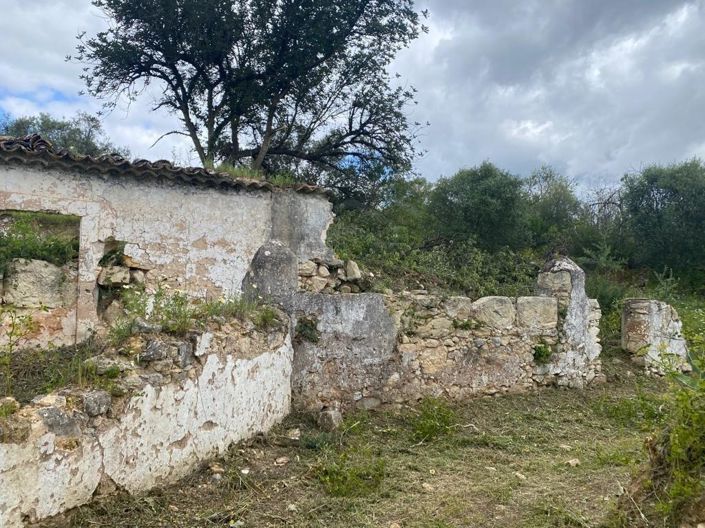 Image No.9-Maison à vendre à Loule