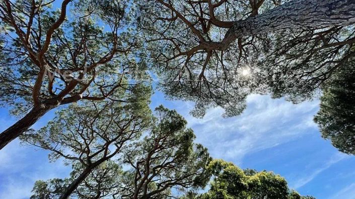 Image No.13-5 Bed House for sale