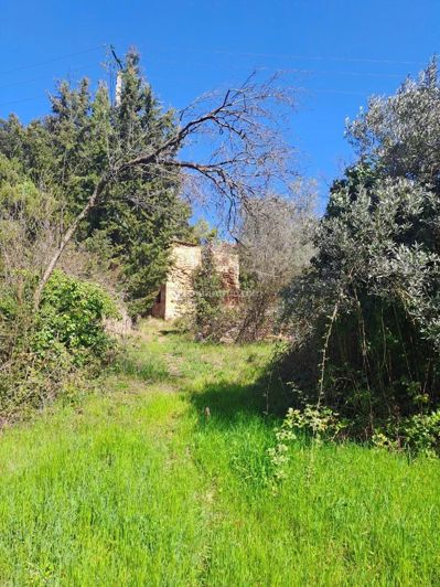 Image No.5-2 Bed House for sale