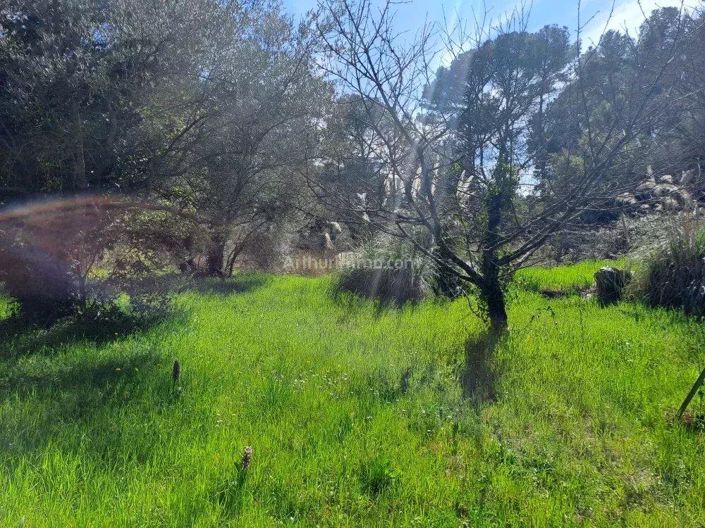 Image No.6-2 Bed House for sale