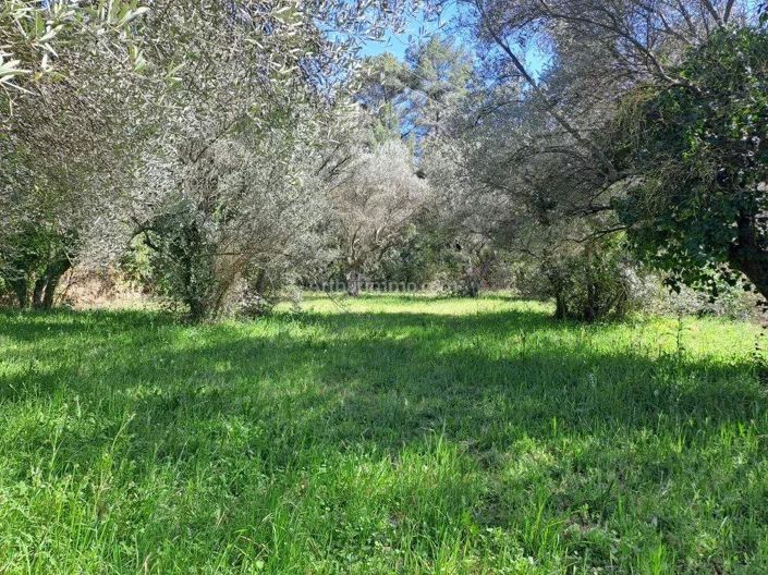 Image No.7-2 Bed House for sale