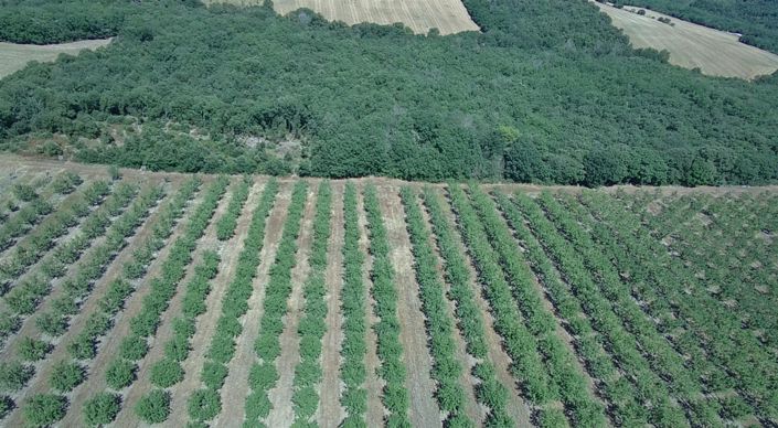 Image No.19-5 Bed House for sale