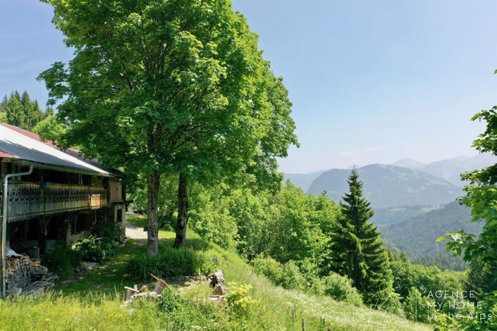 Image No.2-Maison de 3 chambres à vendre à La Côte-d'Arbroz