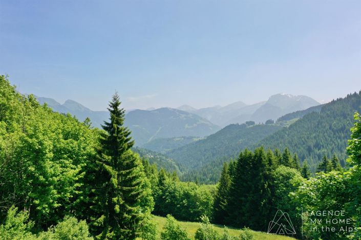 Image No.21-Maison de 3 chambres à vendre à La Côte-d'Arbroz