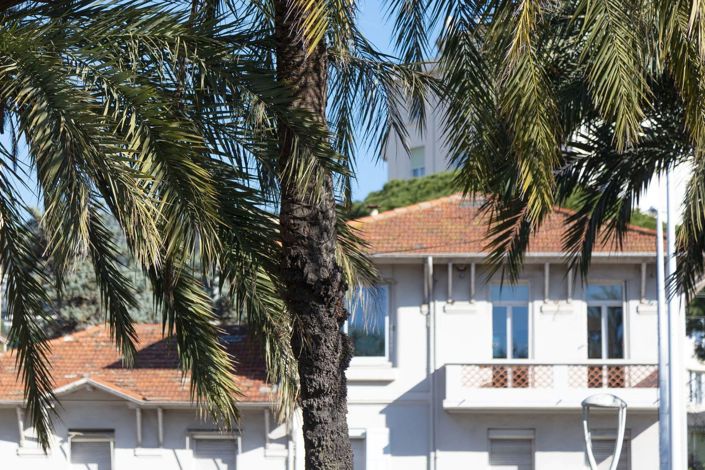 Image No.18-Appartement de 1 chambre à vendre à Cannes