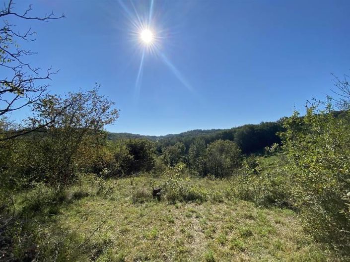 Image No.10-Maison de 3 chambres à vendre à Siorac-en-Périgord